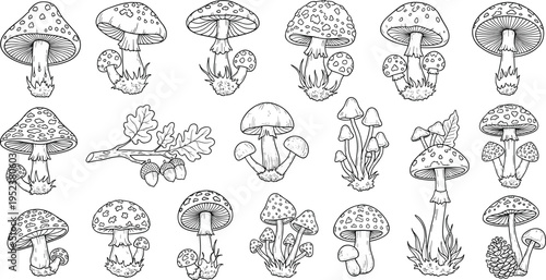 Collection of hand-drawn outline mushrooms and oak leaves with acorns in a repeating pattern