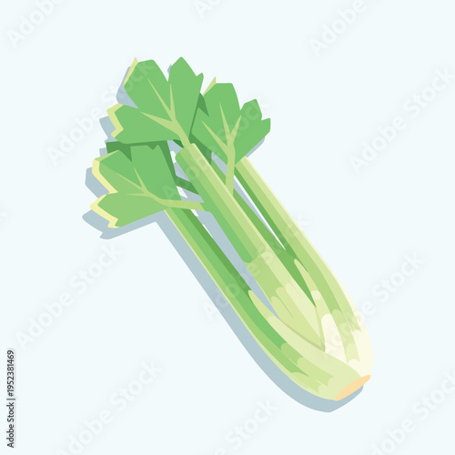 Fresh Green Celery Stalk Vegetable.