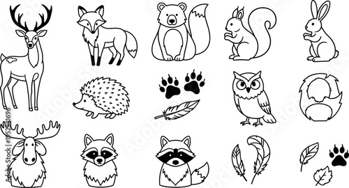 Collection of cute woodland animal illustrations in a simple line art style
