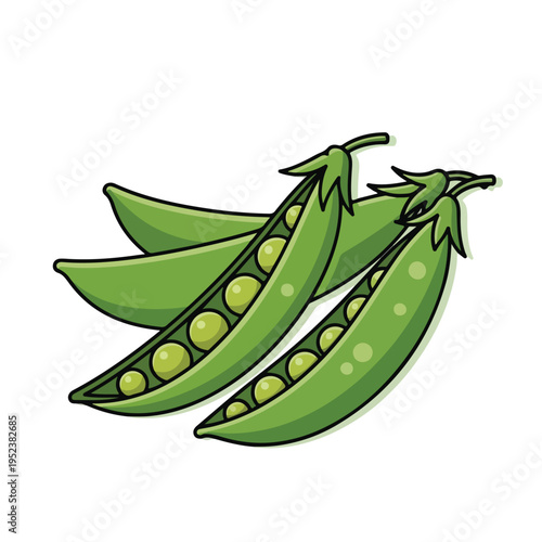 Fresh Green Peas in Pods Illustration.