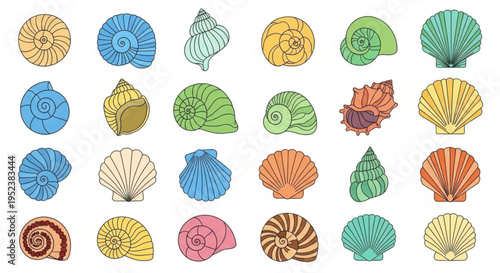 Collection of diverse seashells from tropical oceans, featuring spiral and fan shapes in vibrant colors