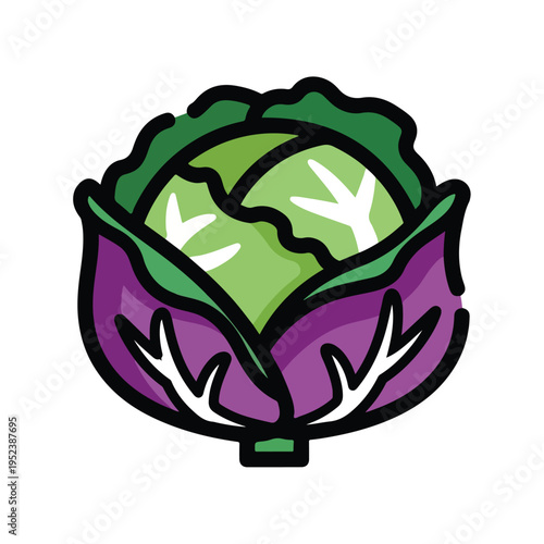 Purple Cabbage Vegetable Illustration Closeup.
