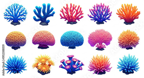 Collection of vibrant and diverse coral reef specimens, showcasing a spectrum of colors and intricate structures