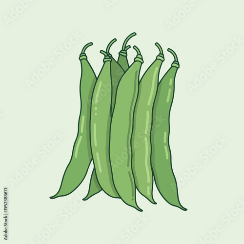 Green fresh vegetable pod bunch.