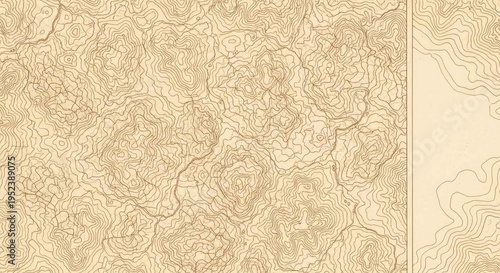 Detailed Contour Map Background – Textured Elevation Map for Marketing and Branding Projects Contour Map