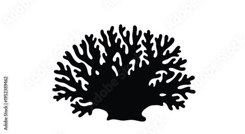 Detailed black coral formation depicted in a striking silhouette