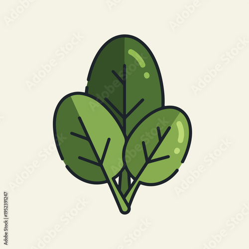 Green leafy vegetable illustration closeup 2.