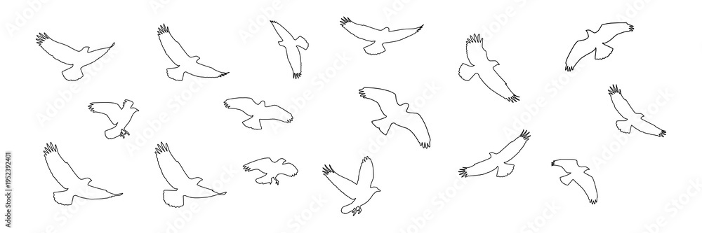 Obraz premium hand drawn vector illustration of a sketch of birds on transparent