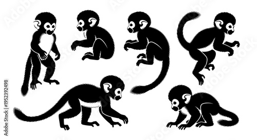 Set of Black Silhouettes of Playful Squirrel Monkeys in Various Poses