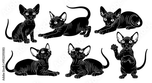 Set of Black Sphynx Cats in Various Poses, Stylized Line Art Illustration