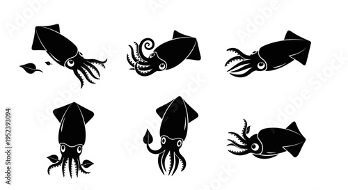 Set of Black Squid Silhouettes on White Background, Marine Life Icons