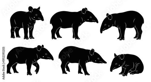 Set of Black Tapir Silhouettes in Various Poses on White Background