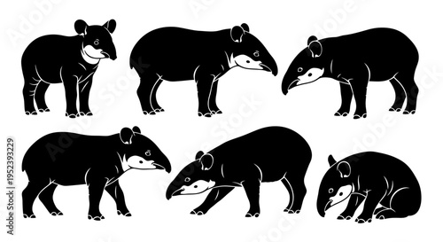 Set of Black Tapir Silhouettes in Various Poses, Isolated on White Background