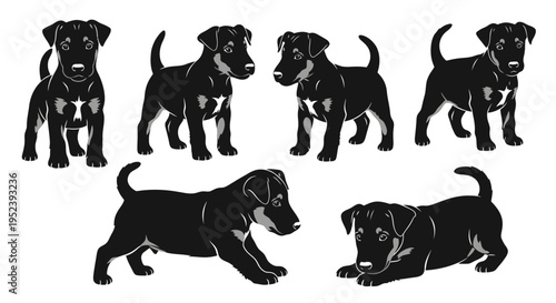 Set of Black Terrier Puppies Poses, Cute Dog Illustrations