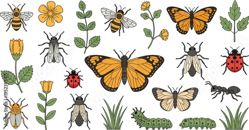 Insect and Butterfly Collection with Bees, Ladybugs, Ants, Caterpillars, and Botanical Elements for Nature Illustration, Garden Design