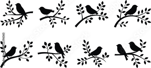 Bird silhouette illustration set, nature and wildlife artwork, perched bird design inspiration, decorative branch and leaf collection