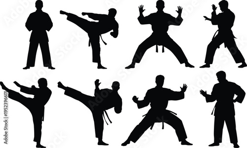 Martial arts silhouette illustration set, karate and taekwondo artwork, combat sports design inspiration, martial artist pose collection