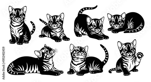 Set of Cute Tiger Striped Kittens Poses Vector Illustration