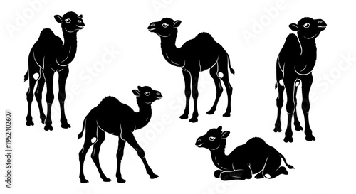 Set of Five Black Camel Silhouettes Isolated on White Background