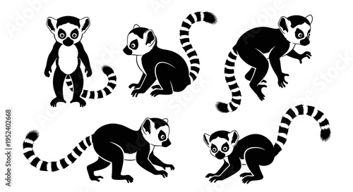 Set of Five Ring-Tailed Lemurs in Various Poses, Black and White Vector Illustration