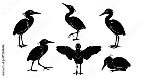 Set of Heron Bird Silhouettes in Various Poses on White Background
