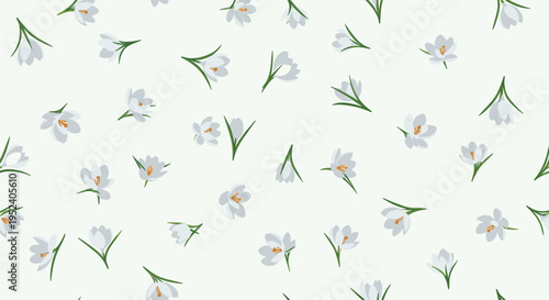 Seamless pattern of delicate white crocus flowers with green stems scattered across a very light green background for spring theme.