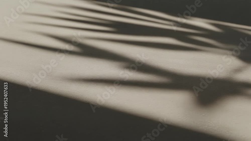 Shot of sunlight casting moving leaf shadows on a textured surface. Semi-realistic scene emphasizing light patterns, gentle motion, and natural, calming atmosphere.