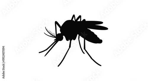 A detailed black silhouette of a mosquito in profile silhouette