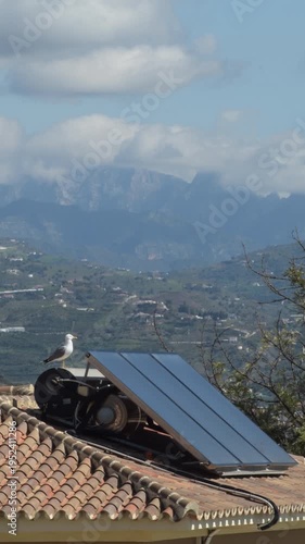 Solar panels and seagull on the roof of a house. 4K Vertical
