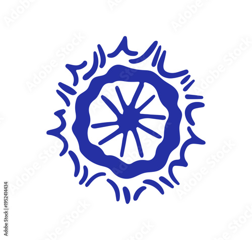 Sea urchin, outline doodle drawing. Seafood, coastal mollusk delicacy. Hand-d...
