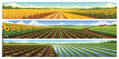 Set of Agricultural Farmland Landscapes with Wheat Fields Sunflower Plantation Vegetable Crops and Rice Paddy Farming Rural Countryside Panorama Vector Illustration