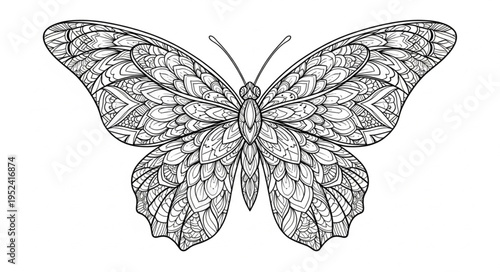 Intricate Butterfly Illustration - Detailed Wings and Delicate Antennae in Black and White.