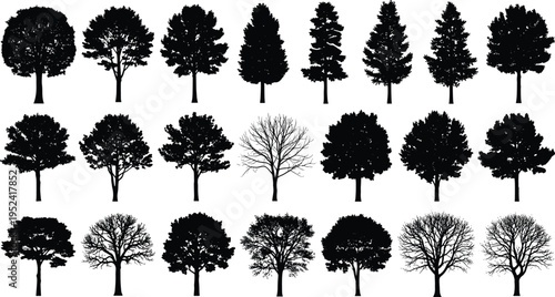 Tree silhouettes collection vector, diverse deciduous forest trees set, black nature icons, detailed botanical shapes, landscape design elements isolated