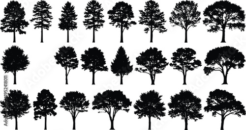 Tree silhouettes collection vector, diverse forest and deciduous trees set, black nature elements, detailed botanical shapes, landscape design pack