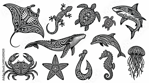 Ornate Marine Life Collection Whales, Sharks, Dolphins, and More