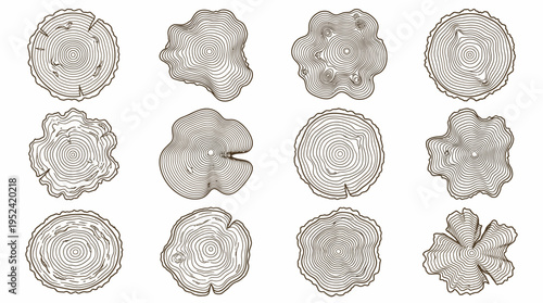 Diverse stylized tree cross-sections showing growth ring patterns and natural wood textures