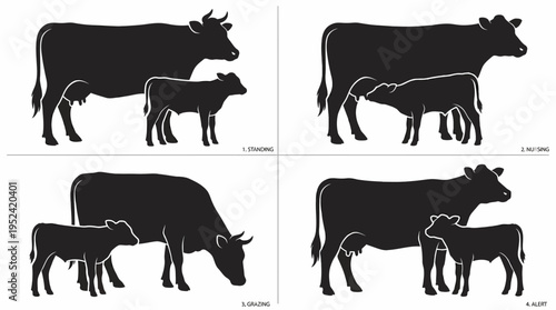 Black silhouette illustrations of mother cows and their calves in various poses, showcasing farm animal life