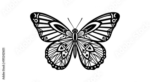 Detailed Black and White Butterfly Illustration with Intricate Wing Patterns.