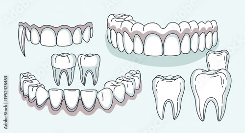 Dental Health - Illustration of Teeth and Dental Appliances.