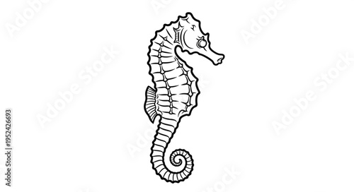 Detailed Line Art of a Graceful Seahorse with Curled Tail.