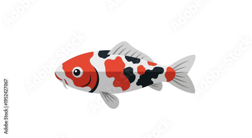 Colorful Koi Fish Swimming in Clear Water - Japanese Carp Illustration