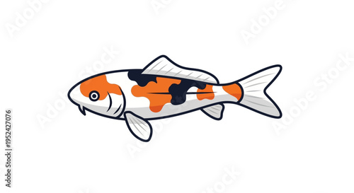 Colorful Koi Fish Illustration - Japanese Carp Swimming