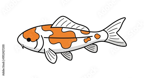Illustration of a white and orange koi fish swimming, isolated on white background.