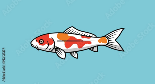 Koi Fish Illustration: Vibrant Orange and White Japanese Carp on Blue Background