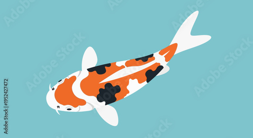 Vibrant Koi Fish Swimming in Clear Blue Water - Japanese Carp Illustration