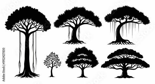 Collection of Silhouette Trees - Various Styles and Sizes