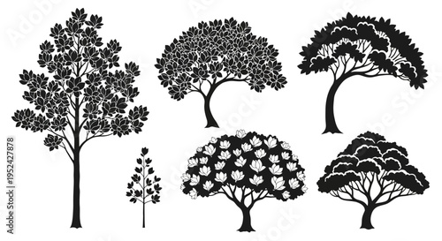 Collection of Silhouette Trees Vector Graphics