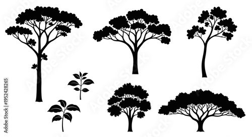 Diverse Tree Silhouettes Collection, Isolated Black Shapes on White Background