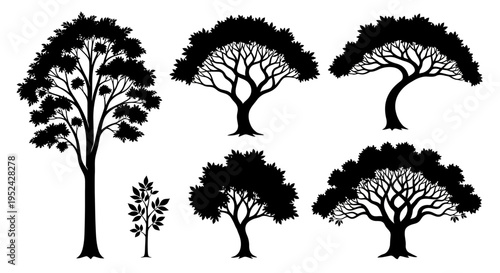 Diverse Tree Silhouettes Collection Vector