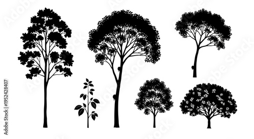 Diverse Tree Silhouettes Collection